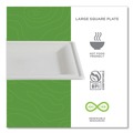 Perforated Roll & Hand Towels | Eco-Products EP-P023NFA 10 x 10 Vanguard Renewable and Compostable Sugarcane Plates - White (250/Carton) image number 8