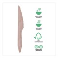 Disposable Knives | Eco-Products EP-S211-W Knife Wood Cutlery - Natural (500/Carton) image number 4