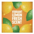 All Purpose Cleaners & Degreasers | Pine-Sol 60148CT 14 oz. Bottle Concentrated Multi-Surface Cleaner - Lemon Fresh Scent (12/Carton) image number 8