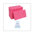Sponges | Boardwalk A21BWK 3-3/5 in. x 6-1/2 in. x 9/10 in. Cellulose Sponges - Small, Pink (24 Packs/Carton, 2/Pack) image number 7
