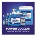 Dishwashing Detergents | Dawn Professional 80730279 1 gal. Heavy-Duty Manual Pot/Pan Dish Detergent - Original Scent (2/Carton) image number 9