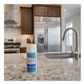 Stainless Steel Cleaners | Sheila Shine SS10 10 oz. Aerosol Spray Stainless Steel Cleaner and Polish image number 3