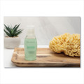 Personal Shampoos, Conditioners, & Body Washes | Dial Amenities DIA 06026 1 oz. Restore Conditioning Shampoo - Clean Scent (288/Carton) image number 3