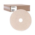 Floor Pads-Cleaning, Buffing & Polishing | Boardwalk BWK4020NHE 20 in. Diameter Natural Hog Hair Burnishing Floor Pads - Tan (5/Carton) image number 1