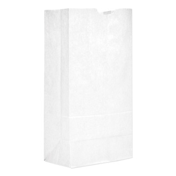Ross & Wallace Paper Products 120320500PK/BL 8.25 in. x 5.25 in. x 16.13 in. #20 Size Grocery Paper Bags - White (500/Bundle)