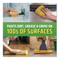Disinfecting & Cleaning Solutions | Pine-Sol 60146CT 14 oz. Bottle Multi-Surface Concentrated Disinfectant Cleaner - Pine Scent (12/Carton) image number 10