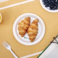 Plates | SOLO OFMP6-PLANET 6 in. Diameter ProPlanet Seal Compostable Paper Dinnerware Plate - White (500/Carton) image number 6