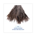 Dusters | Boardwalk BWK14FD 6 in. Wood Handle Professional Ostrich Feather Duster image number 5