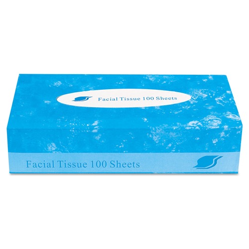 Facial Tissues | GEN GENFACIAL30100B 2-Ply Boxed Facial Tissue - White (100 Sheets/Box, 30 Boxes/Carton) image number 0