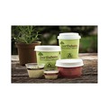Cups | Pactiv Corp. DPHC16EC EarthChoice 16 oz. Compostable Paper Cups - Green (1000/Carton) image number 9