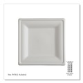 Perforated Roll & Hand Towels | Eco-Products EP-P023NFA 10 x 10 Vanguard Renewable and Compostable Sugarcane Plates - White (250/Carton) image number 2