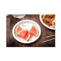 Plates | Pactiv Corp. PSP09EC EarthChoice Pressware 9 in. dia Compostable Dinnerware, Plate - White (450/Carton) image number 3