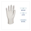 Food Service Disposable & Single Use Gloves | Boardwalk BWK345MBX 4.4 mil General-Purpose Powder-Free Latex Gloves - Medium, Natural (100/Box) image number 5