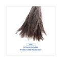 Dusters | Boardwalk BWK31FD 16 in. Wood Handle 12 in. Gray Bristle Professional Ostrich Feather Duster image number 5