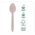 Disposable Spoons | Eco-Products EP-S213-W General Purpose Spoon Wood Cutlery - Natural (500/Carton) image number 6