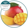 Toilet & Urinal Deodorizers | Boardwalk WCBX-P-010I010I-04-AAS80- 0.11 oz WCBasix Urinal Screen - Mango Mist Scent, Orange (10/Box) image number 2
