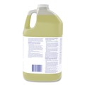 Disinfecting & Cleaning Solutions | Diversey Care 02853280. 1 Gallon Bottle Liqu-A-Klor Disinfectant/Sanitizer (4/Carton) image number 3
