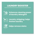 Laundry Detergents | Dial DIA 00201 4 lb Box 20 Mule Team Borax Powdered Laundry Booster (6/Carton) image number 7