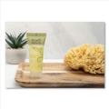 Personal Shampoos, Conditioners, & Body Washes | Pure & Natural PNN 750 0.75 oz. Conditioning Shampoo - Fresh Scent (288/Carton) image number 3