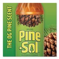 Disinfecting & Cleaning Solutions | Pine-Sol 60146CT 14 oz. Bottle Multi-Surface Concentrated Disinfectant Cleaner - Pine Scent (12/Carton) image number 9