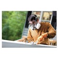 Respiratory Protection | 3M 6311P1-DC Half Facepiece Paint Spray Pesticide Respirator - Large image number 6