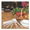 Perforated Roll & Hand Towels | Eco-Products EP-S014 Plantware Compostable Heavyweight Plastic Soup Spoon - White (1000/Carton) image number 2