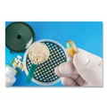 Janitorial Disposable & Single Use Gloves | SemperCare SCLT104 5 mil Powder-Free Latex Examination Gloves - Large/Cream (1000/Carton) image number 2