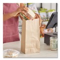Grocery Bags | Ross & Wallace Paper Products 130320500PK/BL 8.25 in. x 5.25 in. x 16.13 in. #20 Size Extra-Heavy-Duty Grocery Paper Bags - Kraft (500/Bundle) image number 3
