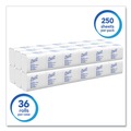 Perforated Roll & Hand Towels | Scott 48280 2-Ply Septic-Safe Hygienic Bath Tissue - White (250/Pack 36 Packs/Carton) image number 1