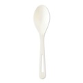 Disposable Spoons | World Centric SPPS6 6 in. TPLA Compostable Cutlery Spoon - White (1000/Carton) image number 0