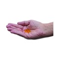 Hand Soaps | Boardwalk 1887-04-GCE00 1 gal. Antibacterial Liquid Soap - Clean Scent (4/Carton) image number 8