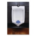 Toilet & Urinal Deodorizers | Boardwalk FGVIN-F-012I072M-81 1.8 oz. Urinal Screen - Tutti Frutti Scent, Blue (1-Dozen) image number 3