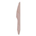 Disposable Knives | Eco-Products EP-S211-W Knife Wood Cutlery - Natural (500/Carton) image number 1