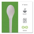 Disposable Spoons | Eco-Products EP-S013 6 in. Plantware Renewable and Compostable Spoon (1000/Carton) image number 2