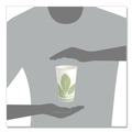 Cups | SOLO RW16BB-JD110 Bare Eco-Forward 16 oz. Paper Cold Cups - Green/White (1000/Carton) image number 6
