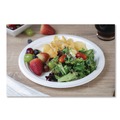 Perforated Roll & Hand Towels | SCT 18160WPF ChampWare Molded Fiber Tableware, Molded Fiber Plate, 10-in dia, White, 125 Plates/Sleeve, 4 Sleeves/Carton image number 4