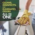 Disinfecting & Cleaning Solutions | Simple Green 3310200601001 1 gal. Bottle d Pro 3 Plus Antibacterial Concentrate - Herbal (6/Carton) image number 5