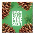 Disinfecting & Cleaning Solutions | Pine-Sol 60160CT 80 oz. Concentrated Multi-Surface Disinfectant Cleaner - Pine Scent (6/Carton) image number 8