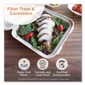 Food Trays & Liners | World Centric TR-SC-4S-LFS 7.1 in. x 9.1 in. x 0.7 in. Paper Fiber Trays - Natural (500/Carton) image number 1