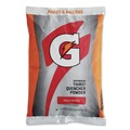 Perforated Roll & Hand Towels | Gatorade QUA33691 G2 Low-Calorie 21 oz. Powder Drink Mix Pouches - Fruit Punch (Carton of 32 Each) image number 1