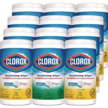 Clorox 30208 7 in. x 8 in. 1-Ply Disinfecting Wipes - White Fresh Scent/Citrus Blend (4 Packs/Carton)