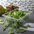 Food Storage Containers & Lids | Carlisle 10222B07 10.38 in. x 12.75 in. x 6 in. 8.7 qt. StorPlus Plastic Polycarbonate Food Pan - Clear image number 4
