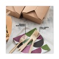Disposable Forks | Pactiv Corp. YPSMFTEC EarthChoice PSM Heavyweight Plastic Cutlery Fork - Tan (1000/Carton) image number 7