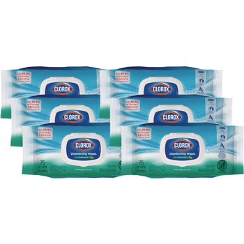 Clorox 31430 8 in. x 7 in. 1-Ply Flex Pack Disinfecting Cleaning Wipes - Fresh Scent White (6/Carton)