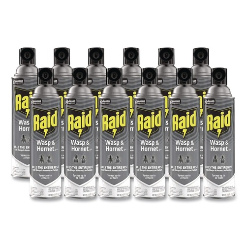 Insecticides | Raid 377651 14-Ounce Wasp and Hornet Killer Spray (12/Carton) image number 0