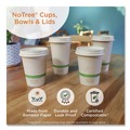 Food Containers & Lids | World Centric BO-NT-32W No Tree 5.9 in. Diameter x 3.1 in. h Wide Sugarcane Paper Bowls - Natural (300/Carton) image number 3