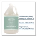 Shampoos, Conditioners, & Body Washes | Diversified Hospitality Solutions GAL04DBGW128 Terra Pure 1 Gallon Body Wash - Green Tea Lemongrass (4/Carton) image number 2