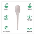 Disposable Spoons | Eco-Products EP-S013-W Plantware 6 in. Spoon Compostable Cutlery - White (1000/Carton) image number 6