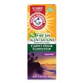 Air Fresheners & Odor Eliminators | Arm & Hammer 33200-11535 30 oz. Fresh Scentsations Carpet Odor Eliminator - Island Mist (6/Carton) image number 0