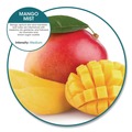 Toilet & Urinal Deodorizers | Boardwalk WCBX-P-010I010I-04-AAS80- 0.11 oz Anti-Splash Urinal Screen - Mango Mist Scent/Orange (10/Carton) image number 4